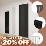 Vertical  Radiator Traditional Oval Column Flat Panel Designer Heat Cast IronRad