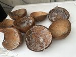 Coconut Shells
