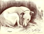 1930s Antique Whippet Print Vintage Nina Scott Langley Whippet Dog Art 6872d