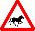 Wild horses or ponies Road safety sign