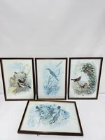Set of 4 Vintage Bird Prints – Robin, Brambling, Fieldfare, Reed Warbler