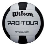 Wilson Pro Tour Synthetic Leather Black White Indoor Court Size 5 Volleyball