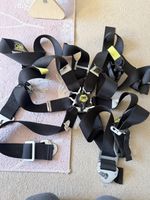 OMP 6 Point Harness Track Day