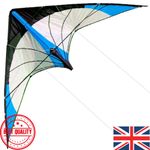 48 Inch Blue Dual Line Stunt Kite with Handles Flying Line Outdoor Sport