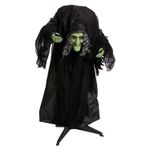 Halloween Animated Witch Decoration Party, Trick or Treat