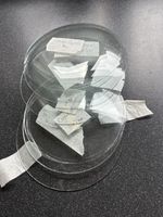6 Clock Convex Glasses