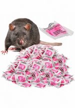 Super strong Ratimor Rat & Mouse Poison Killer Control Rodent Bait 60 pieces