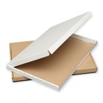 C4+ Size 35 x 25 cm Royal Mail Postal Boxes LARGE LETTER PIP White Brown