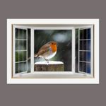 Robin Garden Bird Winter Xmas 3D Effect Window Canvas Picture Wall Art Prints