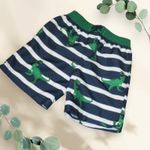 Toddler Boys Blue Striped T-Rex Dino Swim Trunks Dinosaur Board Shorts 2T
