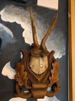 Antique Deer Antler Wall Mount Real Skull Solid Wood European Gothic NOT Fake