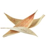 Bleached Coconut Leaves for Decoration and Floristry, Natural Product, 22-42cm, 25