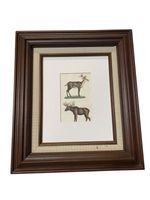 Antique Moose & Caribou Litho Art Framed Art Print Vintage 15" x 13" Cabin Core