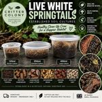 250ml Starter Live White Springtails 250ml - Soil Culture – Bioactive Clean