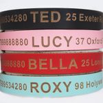 Personalised Leather Dog Collar Cat 4 Colours and 4 Sizes Blue Black Pink Red