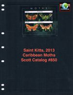 $9.00 Scott Value - 2013 ST KITTS Moths s/s Butterflies Caribbean CV MNH NH UMM
