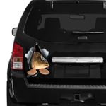 Vibrant 3D Carp Vinyl Decal - Perfect for Cars, Trucks, Laptops & More