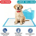 100 Large Puppy Training Trainer Train Pads Toilet Pee Wee Poo Dog Pet Cat Mats