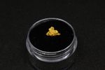 Stunning Genuine Western Australian Gold Nugget 0.48 grams