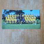 1995 Norwich City Squad Photo -Signed 