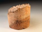 Live Edge Burr Elm Resin Woodturning Bowl Blanks 6x6 inch 1.6 KG