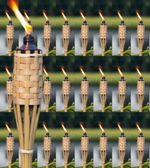 Pack of 24  Bamboo Tiki Torch 150cm (5ft) Outdoor Garden 500ml long burn.