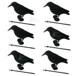 6x Flocked Crow Rook Raven Full Body Decoys. With Feet & Stake HIGH QUALITY