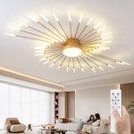 Modern LED Ceiling Light,42+1Heads Creative Fireworks Design Chandelier,Dimmable