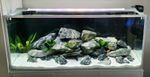 Natural Aquarium Rock Stone Fish Tank Decoration  GREEN ANGEL 25 Set