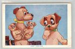 TONACCO SMOKING DO YOUR CIGARETTES TASTE DIFFERENT ?? DOG PEEING POSTCARD 1966