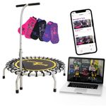 Boogie Bounce Elite Folding Bungee Mini Trampoline