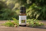 Hinoki Wood Pure Essential Oil