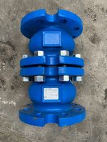 Socla SAS Non-return DC valve DN80