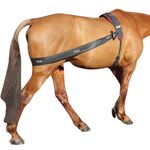 lunging band for horses