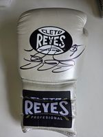 Gennardy Golovkin Signed Silver Cleto Reyes Boxing Glove