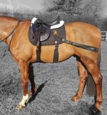 Equine Band Core Conditioning System by Equine Balance Bands