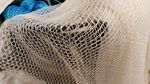 Prawn  crayfish  10mm holes (3/8") 6ft 6" wide x 6ft 6" long STRETCHED + NEEDLE