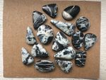 High Grade White Buffalo Turquoise 16 pcs  Various Sizes