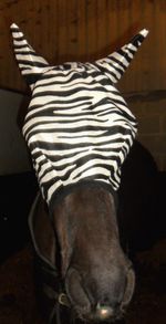 HORSE/COB/PONY MESH FLY MASK HOOD ZEBRA PRINT BEST SELLER  FREE P/P Pack Of 2 