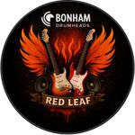 Bass Drum Head 18  /22 plus 8 10 12 14 16 & 22 CLEAR HYD Endorsement Deal EDU Z 