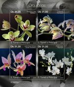 Orchids