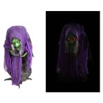 Halloween Animated Witch Decoration Party, Trick or Treat