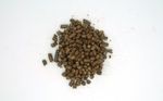 1KG/5KG/10KG Straw Pellets - UK Supplier - Mushroom Cultivation