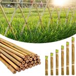 4ft-6ft-7ft-8ft Large Bamboo Canes Thick Strong Garden Canes Plant Support Pole