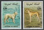 Morocco 1984 Animals, Pets, Dogs 2 MNH stamps