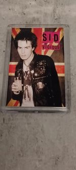 Sid vicious, Sex Pistols, Colourful, Awesome, Fridge Magnet
