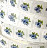 US 5652 Blueberries 4c (2022) - 50 Postage Stamps, Single Strip from Coil MNH