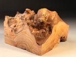 Live Edge Burr Elm Resin Square Woodturning Bowl Blank 6x6x5 inch 1.2 KG
