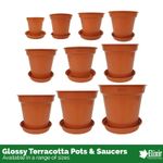 Whitefurze Plastic Glossy Terracotta Plant Pot & Saucer Set | Optional Saucers