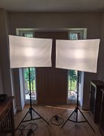 Neewer NW48 II LED Softbox Lighting Kit 2 Stands Studio Video Photo Lights , Bag